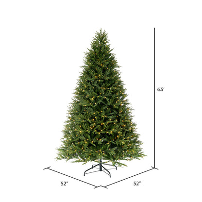 Vickerman 6.5' x 52" Tiffany Fraser Fir Artificial Christmas Tree with Warm White LED Lights.