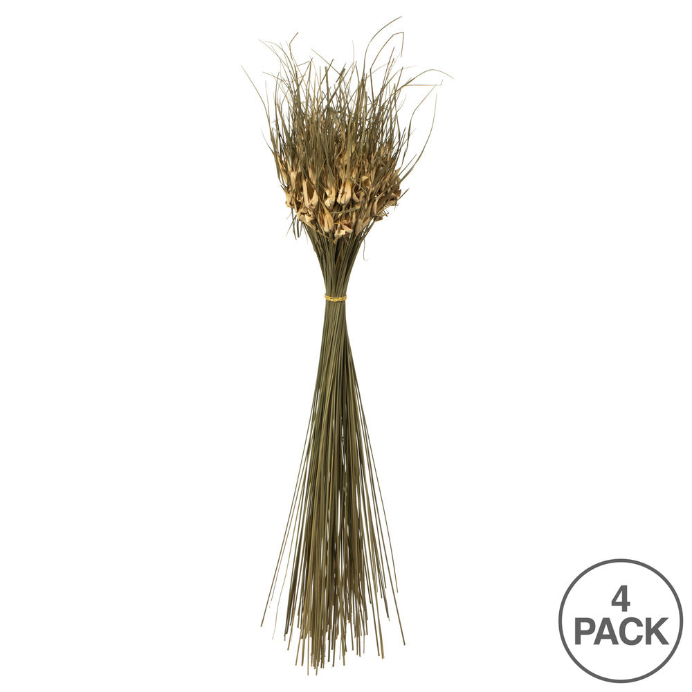Vickerman 26" Natural Tulip Star 16oz (4 -4oz Bundles) Dried
