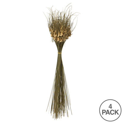 Vickerman 26" Natural Tulip Star 16oz (4 -4oz Bundles) Dried