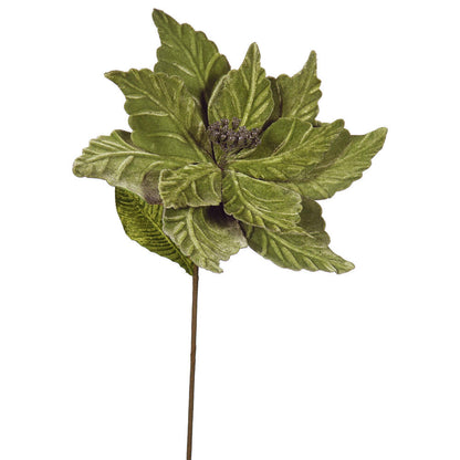 Vickerman 22" Lime Poinsettia Artificial Christmas Flower 6 per Bag