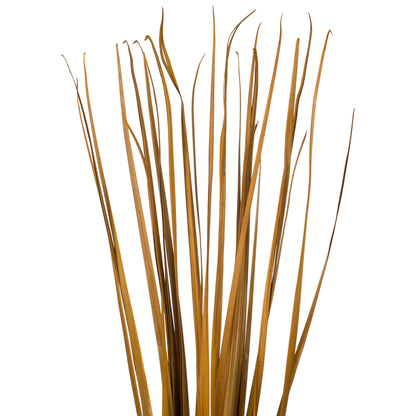 Vickerman 36-40" Aspen Gold Sable Grass 7 oz Bundle Dried