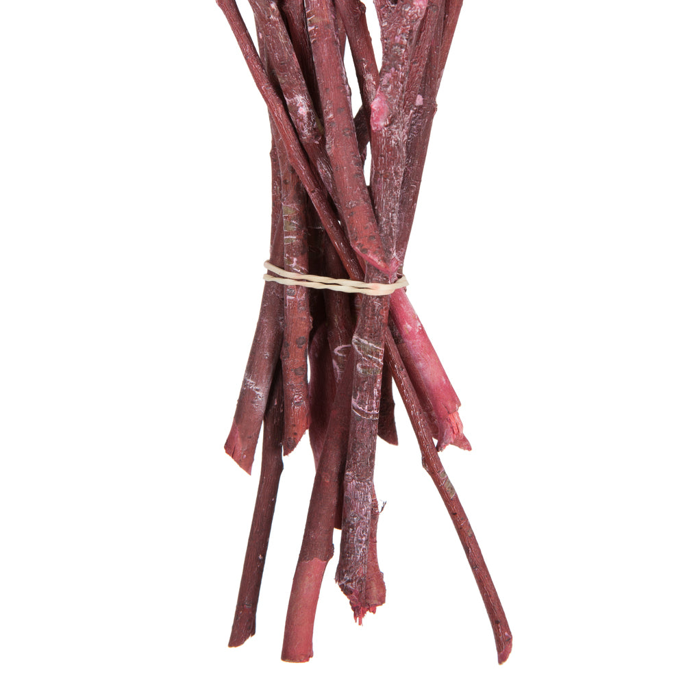 Vickerman Natural Botanicals 12" x 1-3" Eucalyptus Clusters on stem red frosted 16 stems per unit