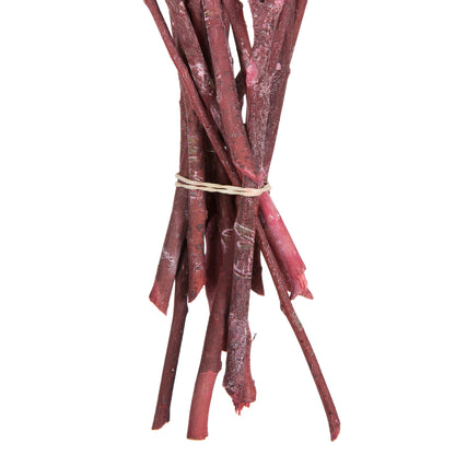 Vickerman Natural Botanicals 12" x 1-3" Eucalyptus Clusters on stem red frosted 16 stems per unit