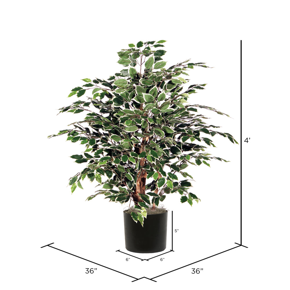 Vickerman 4' Artificial Variegated Extra Full Bush Black Plastic Pot.