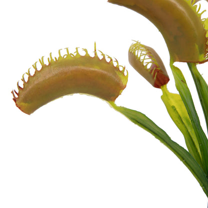 Vickerman 12" Green Artificial Venus Flytrap Plant 3/pk