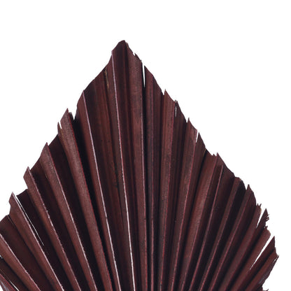 Vickerman Natural Botanicals 15.75 - 19.5" Chocolate Dried Palm Spear 12 per bag.
