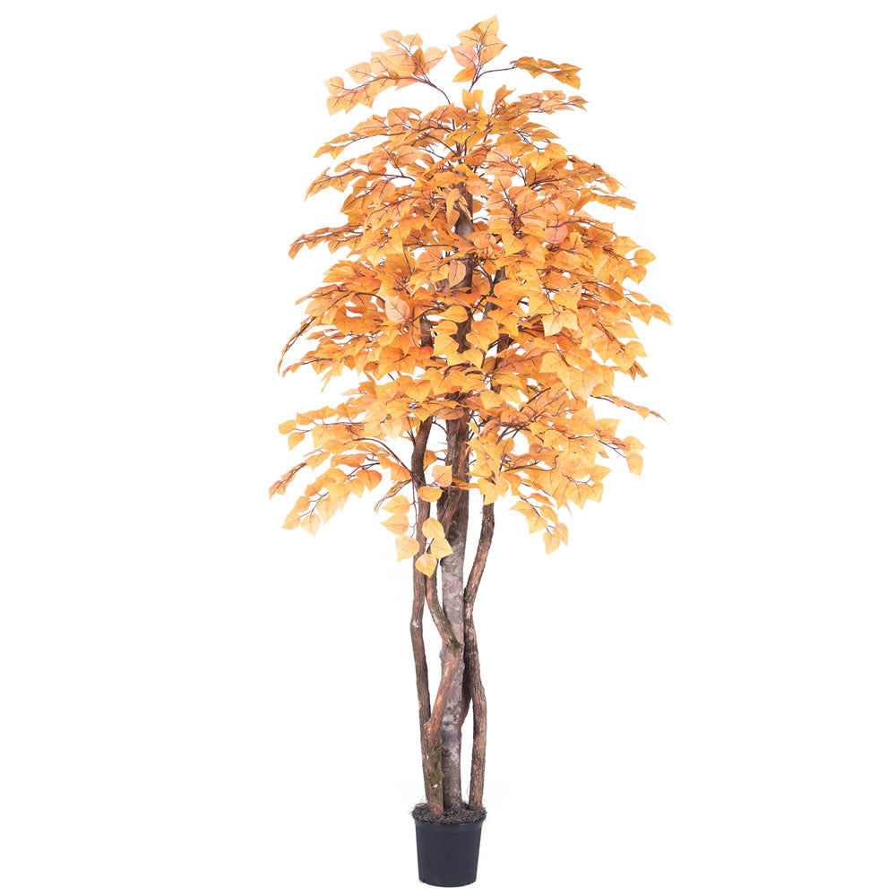 Vickerman 6' Artificial Golden Aspen Executive Black Plastic Pot