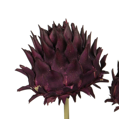 Vickerman 15" Violet Artichoke Head attached to a Reed Stem Dried