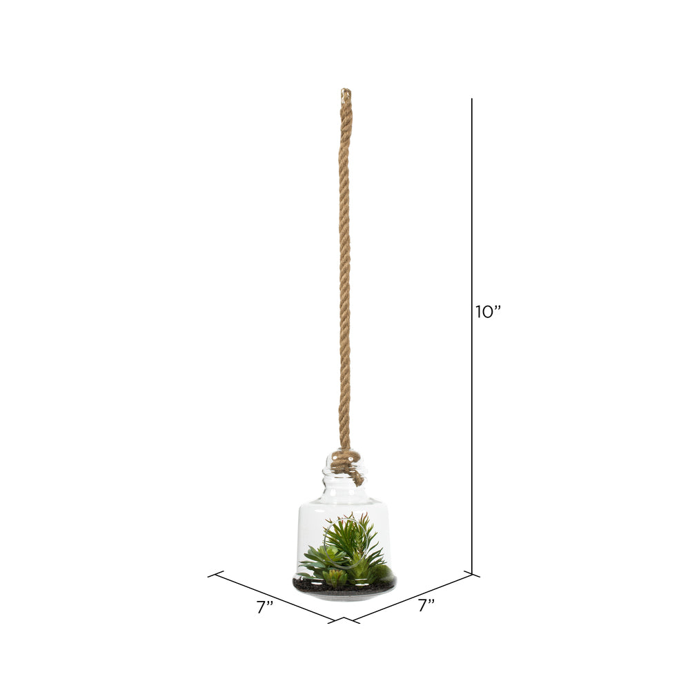 Vickerman 10" Artificial Green Assorted Succulents in Glass Jar.
