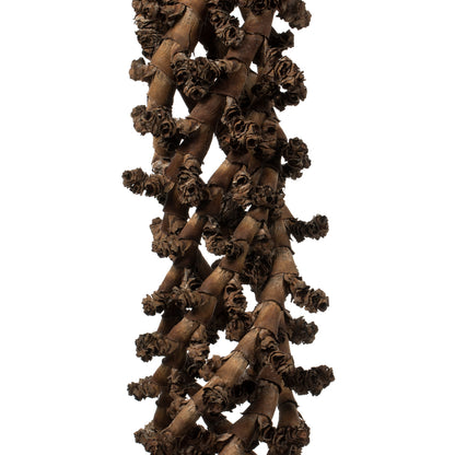 Vickerman 36-44" Natural Ladder Branches - XL curled 5 stems Dried