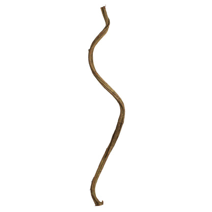 Vickerman 38-45" Basil Twisted Vine.  Includes 2 Twisted Vines per Pack Dried