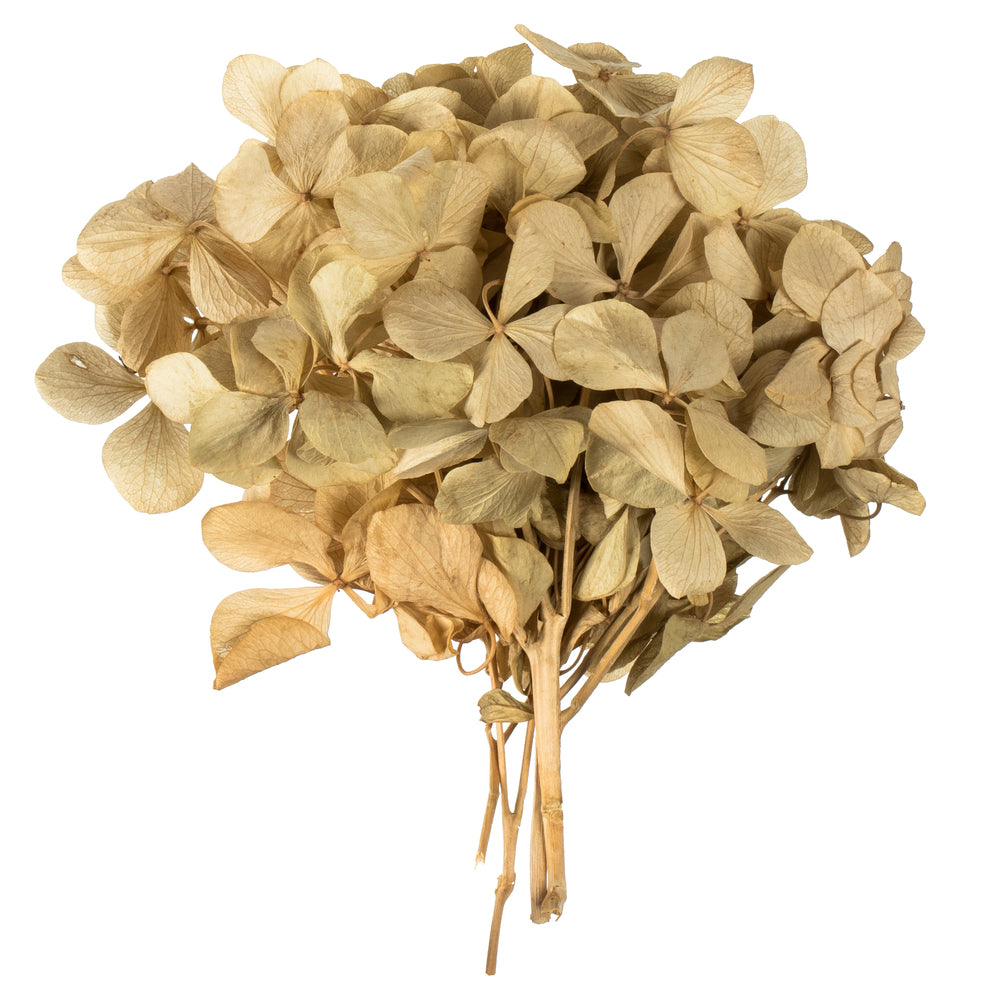 Vickerman 10 x 3 x 21" tray Natural Hydrangea Pieces. Tray multi stem Preserved