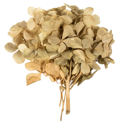 Vickerman 10 x 3 x 21" tray Natural Hydrangea Pieces. Tray multi stem Preserved