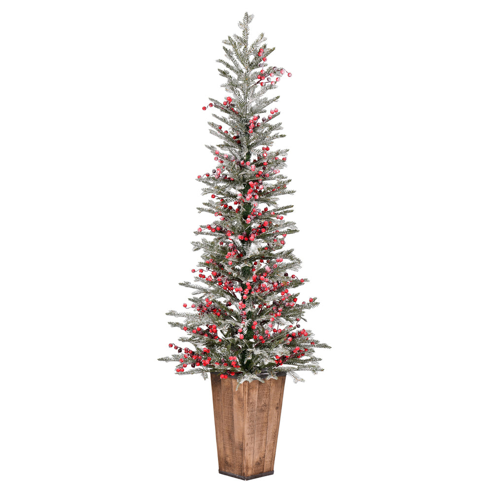 Vickerman 5.5' x 24" Frosted Berry Potted Pine Artificial Christmas Tree Unlit