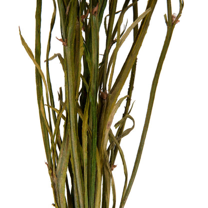 Vickerman Natural Botanicals 19.5" Pink Statice Flower 1.25 oz per unit