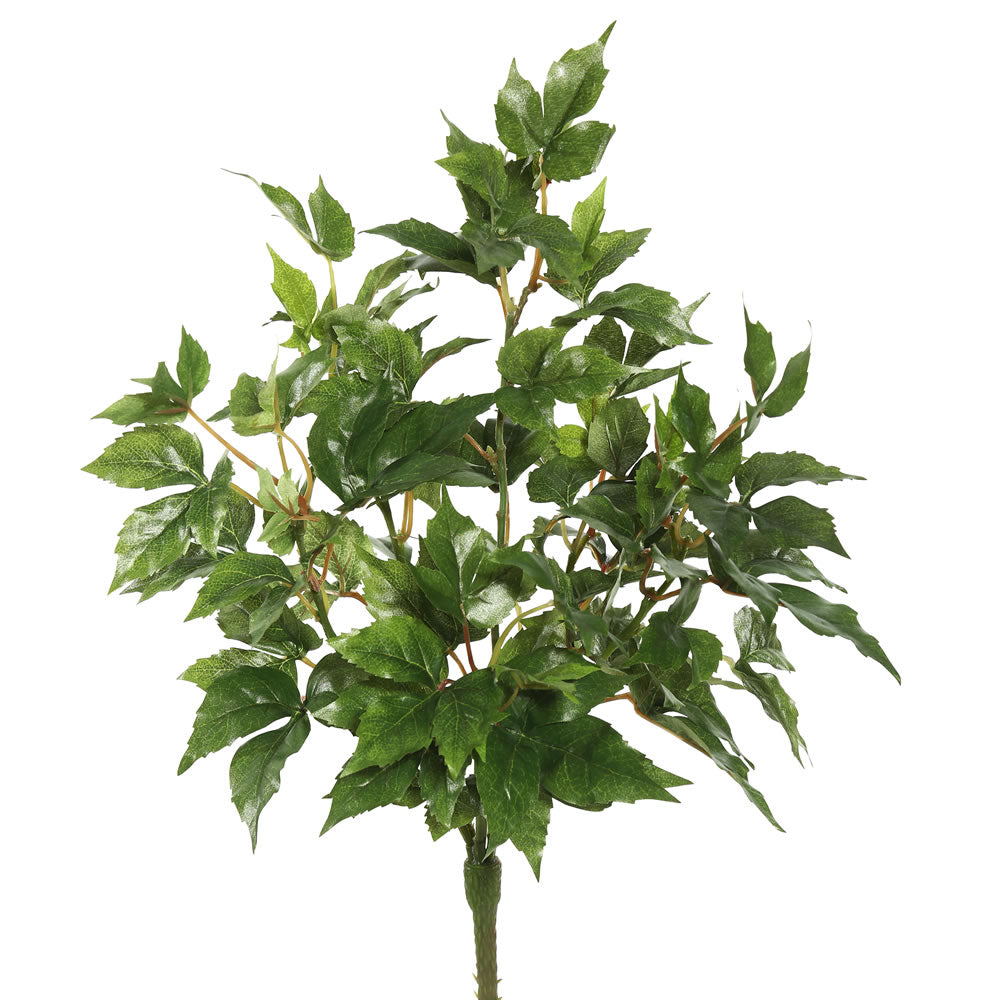 Vickerman 20" Artificial Green Maple Ivy Bush.