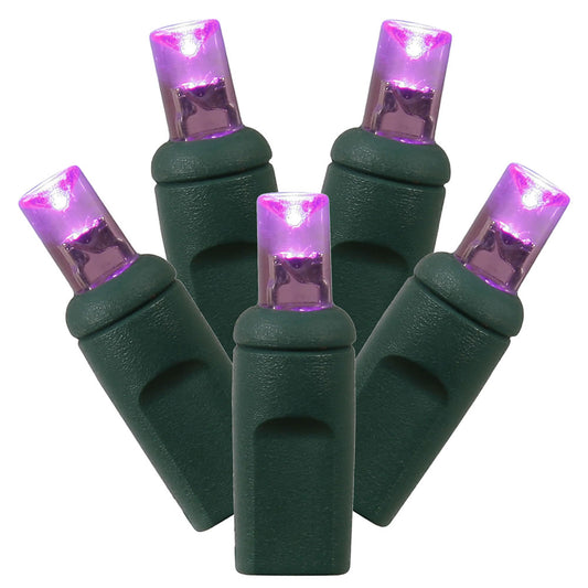 Vickerman 50 Purple Wide Angle LED Light on Green Wire 25' Christmas Single Mold Light Strand