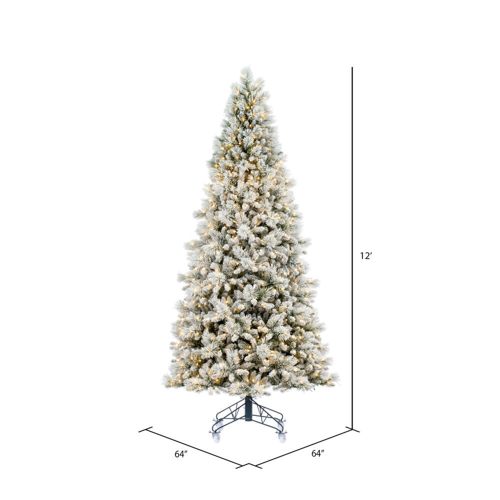 Vickerman 12' x 64" Flocked Jackson Pine Artificial Pre-Lit Christmas Tree Warm White Lights