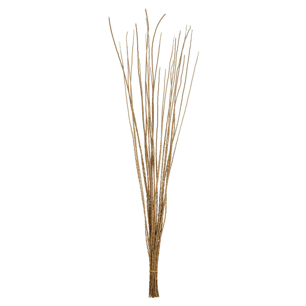Vickerman 36-40" Ivory Caba Spine Bundle 3 pack Dried