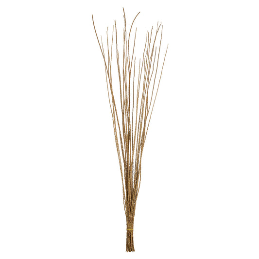 Vickerman 36-40" Ivory Caba Spine Bundle 3 pack Dried