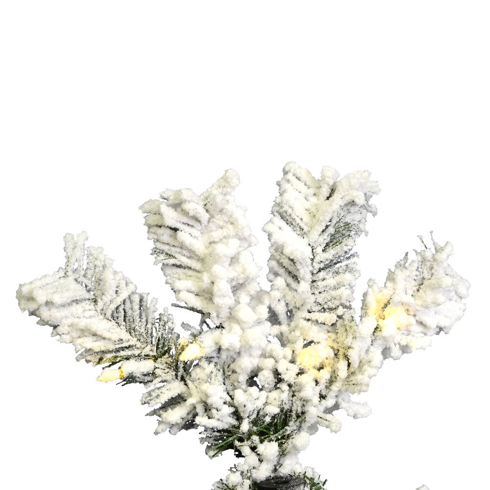 Vickerman 6.5' Flocked Pacific Pencil Artificial Christmas Tree with Pure White LED Lights