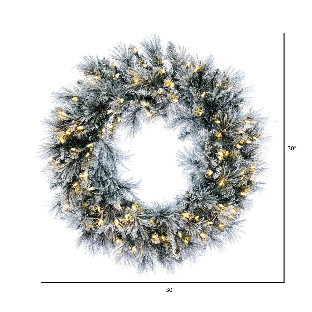 Vickerman 30" Flocked Jackson Pine Artificial Pre-Lit Wreath with Warm White Lights and 165 PVC Tips