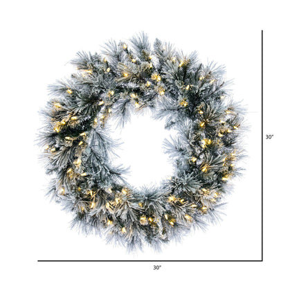 Vickerman 30" Flocked Jackson Pine Artificial Pre-Lit Wreath with Warm White Lights and 165 PVC Tips