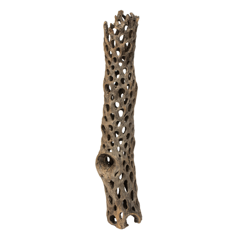 Vickerman 10-12" Weathered Cholla Deco Segment 1 piece Dried