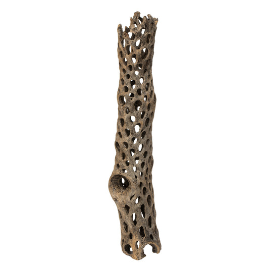 Vickerman 10-12" Weathered Cholla Deco Segment 1 piece Dried