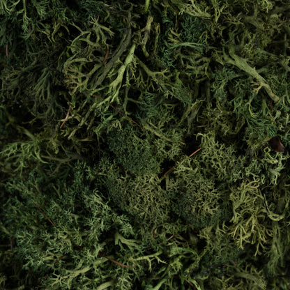 Vickerman 15 .5" Artificial Reindeer Moss Square Wreath.