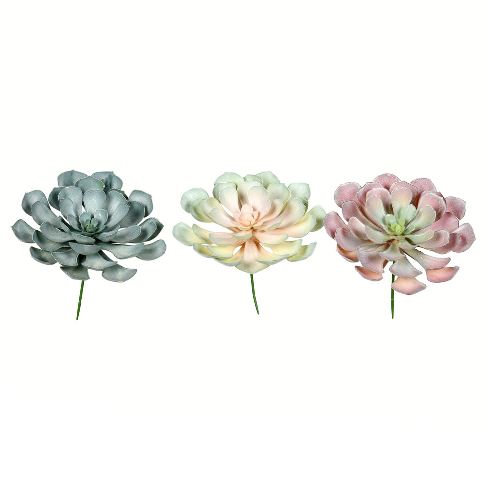 Vickerman 9.5" Artificial Rust Green Peperomia Succulent Set of 3