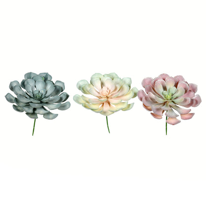 Vickerman 9.5" Artificial Rust Green Peperomia Succulent Set of 3