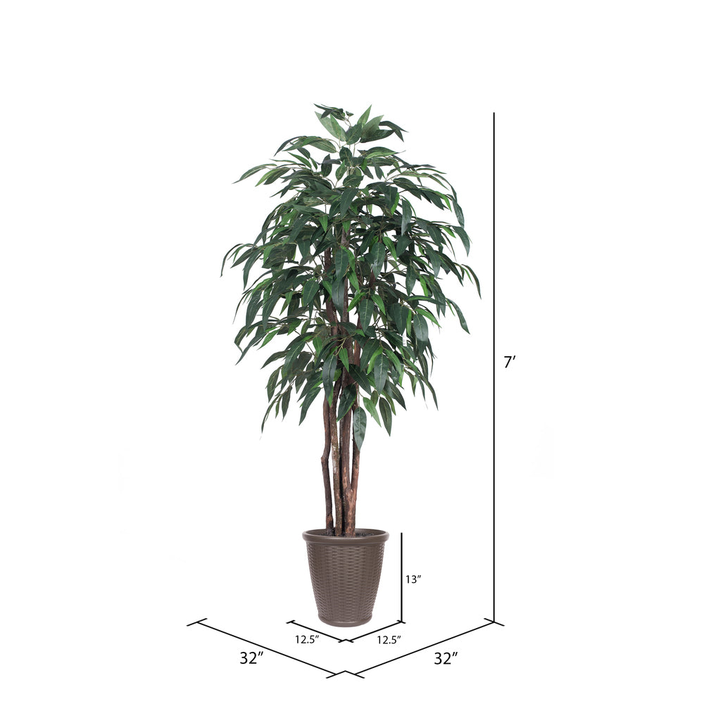 Vickerman 6' Artificial Mango Executive Tree Brown Round Plastic Container.