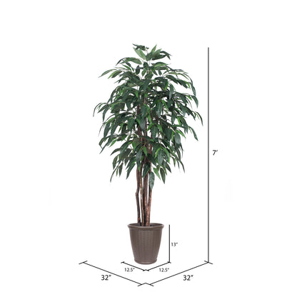 Vickerman 6' Artificial Mango Executive Tree Brown Round Plastic Container.