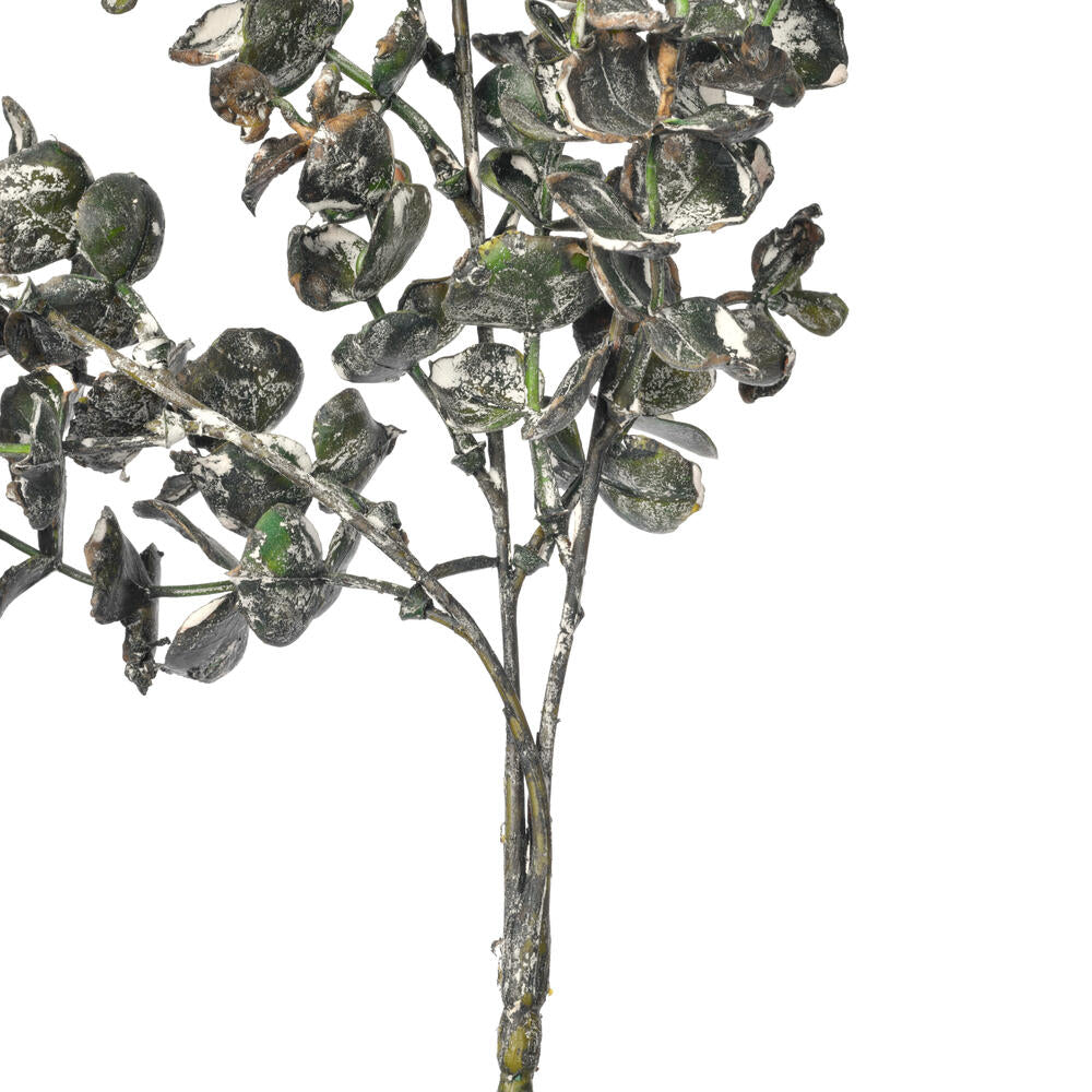 Vickerman 26.5" Dark Green Eucalyptus Spray 2 per bundle.