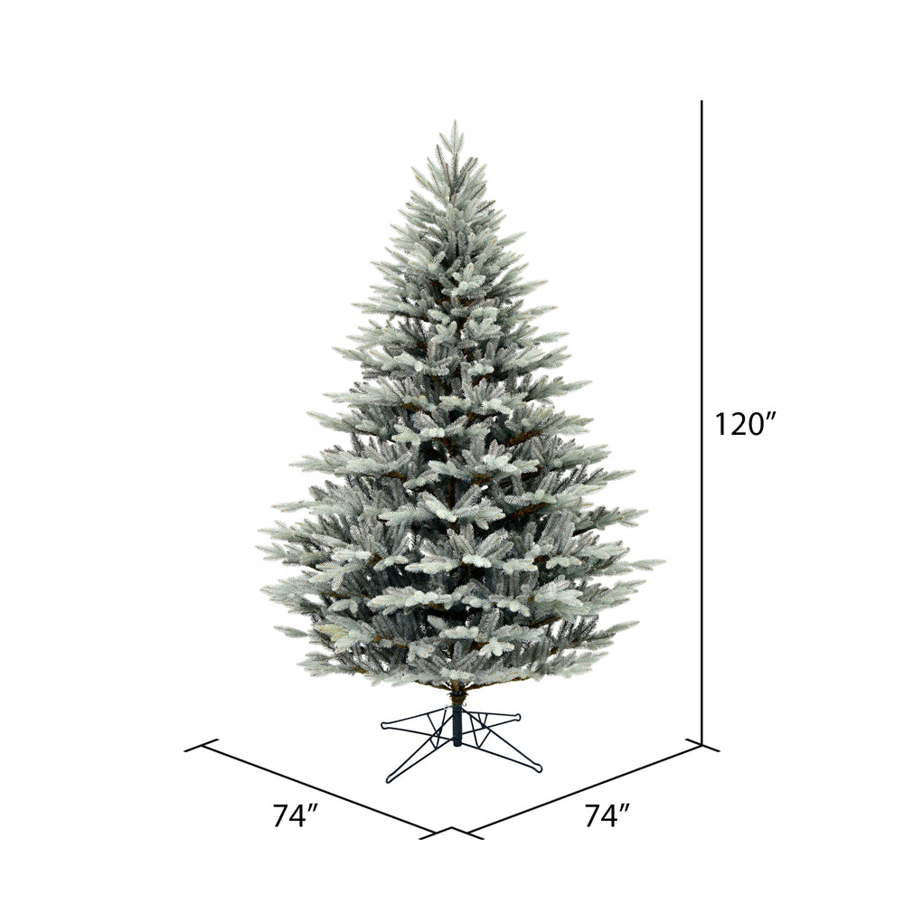 Vickerman 10' x 74" Douglas Blue Fir Artificial Christmas Tree Unlit