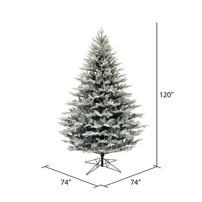 Vickerman 10' x 74" Douglas Blue Fir Artificial Christmas Tree Unlit
