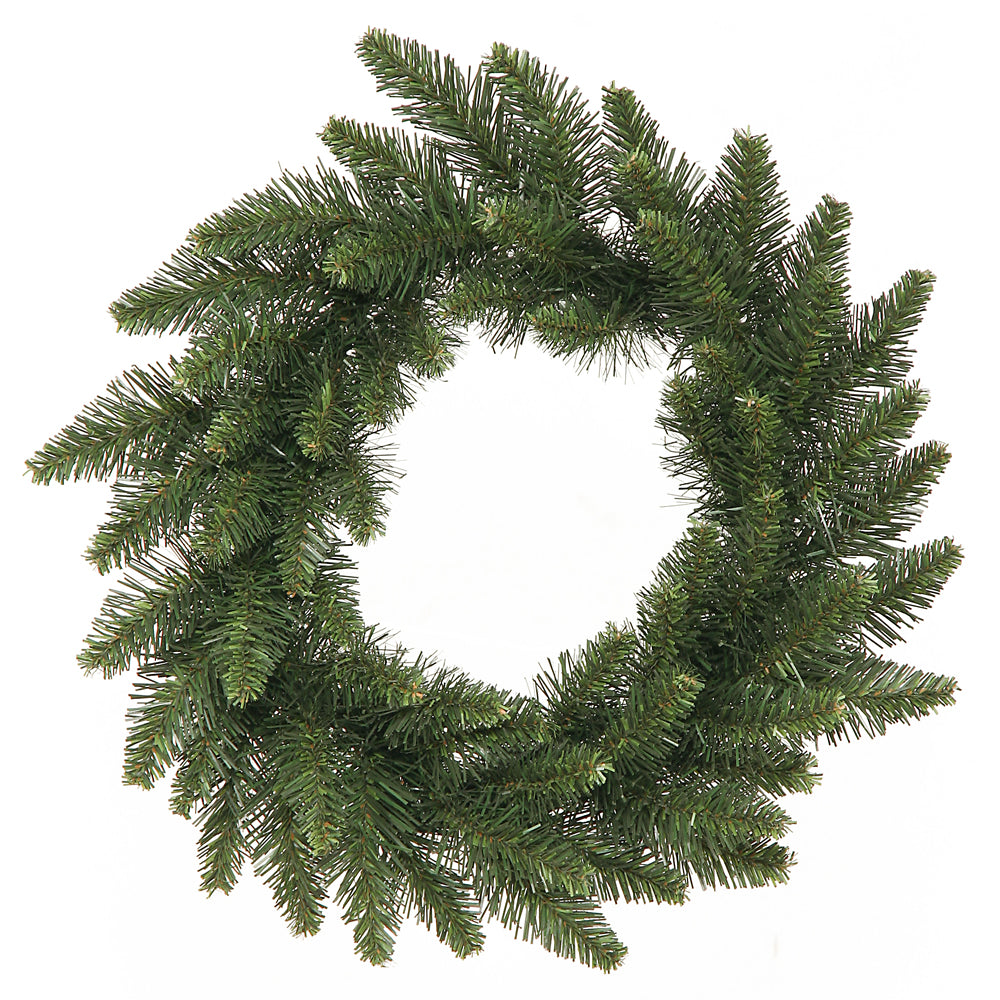 Vickerman 16" Camdon Fir Artificial Christmas wreath unlit Set of 2