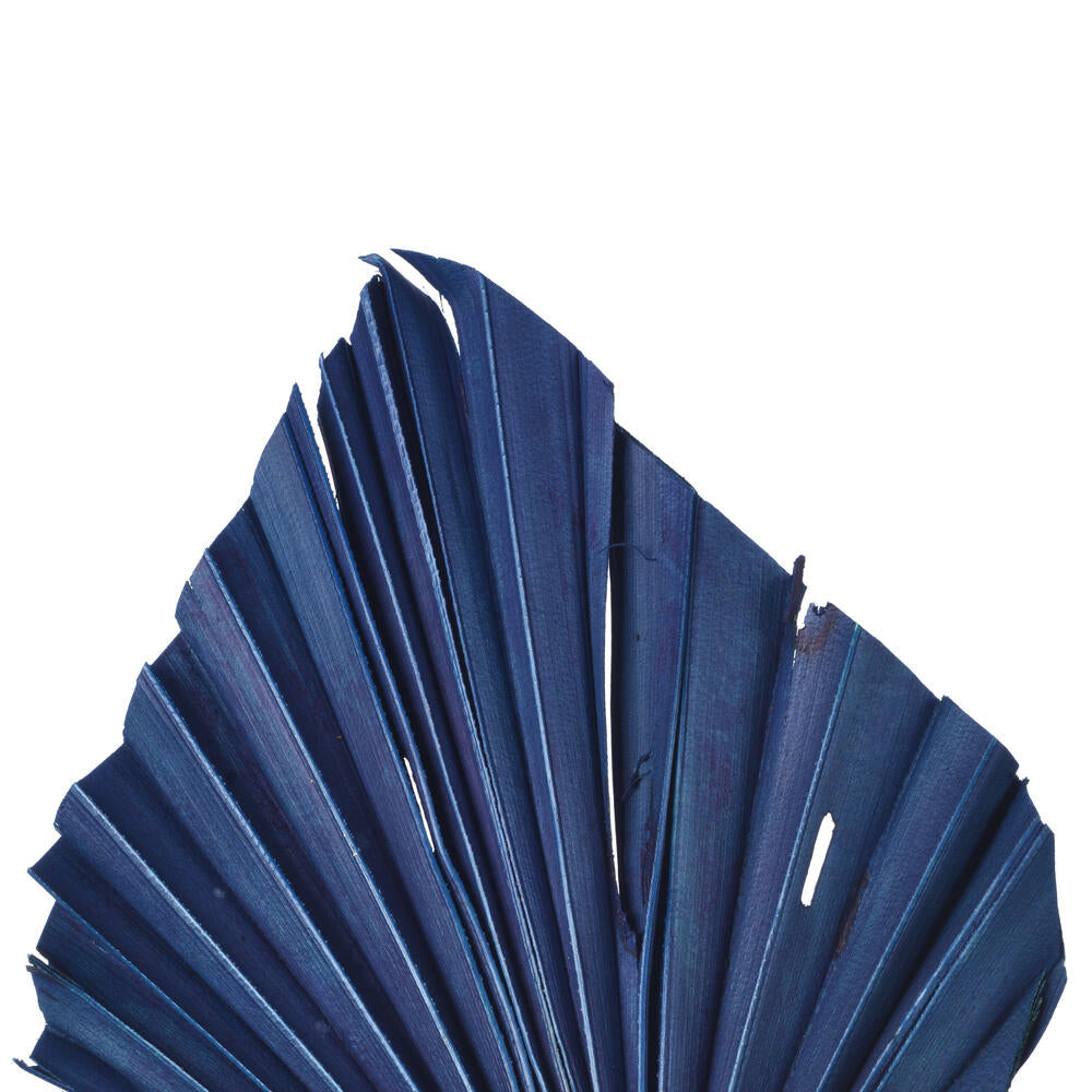 Vickerman Natural Botanicals 15.75 - 19.5" Midnight Blue Dried Palm Spear 12 per bag.