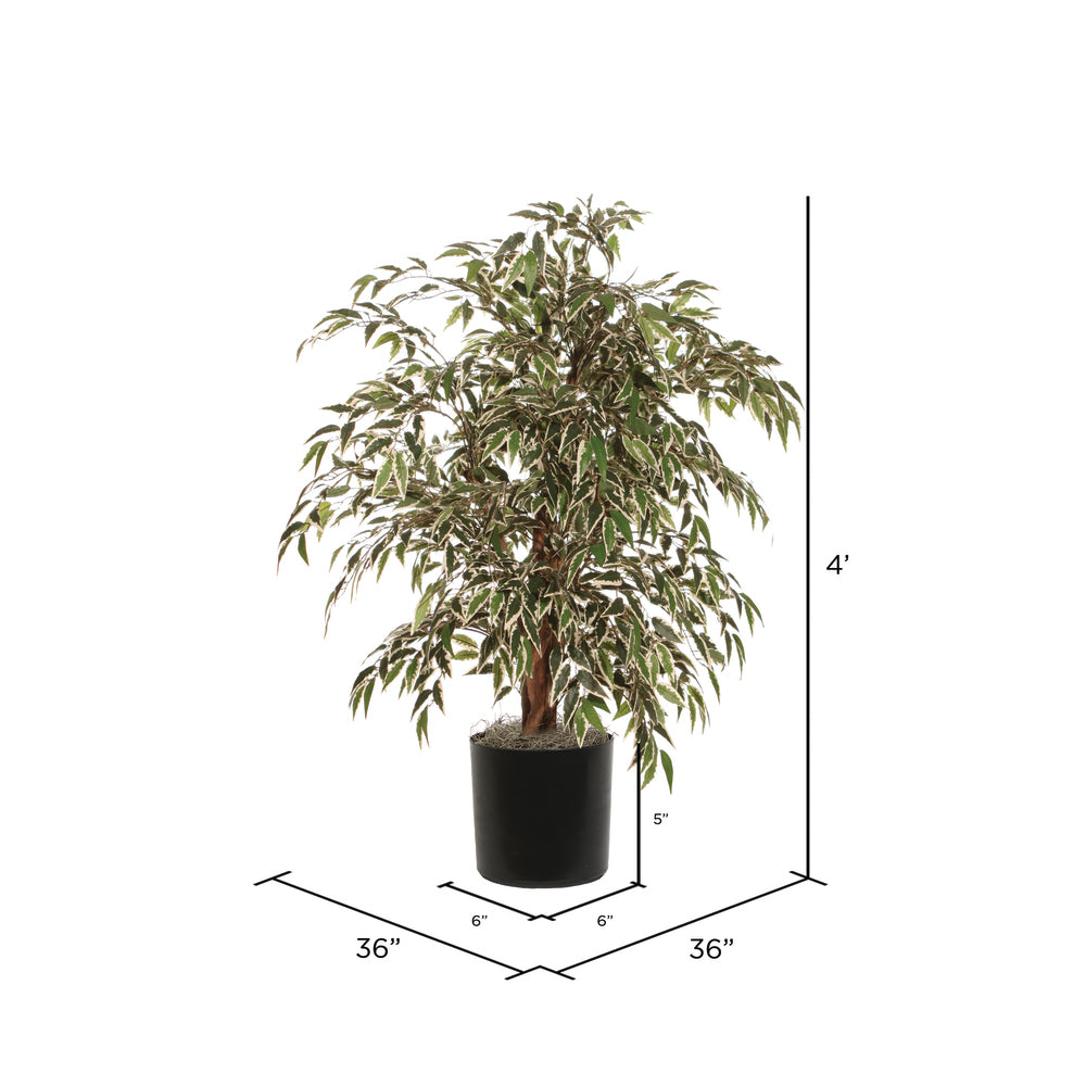Vickerman 4' Artificial Variegated Smilax Extra Full Bush Black Plastic Pot.