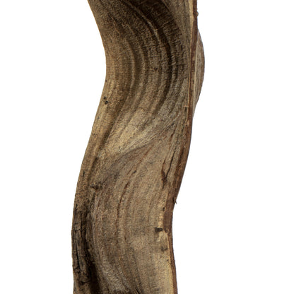 Vickerman 36-40" Natural Monkeys Ladder Vine. Includes 2 Pieces Dried