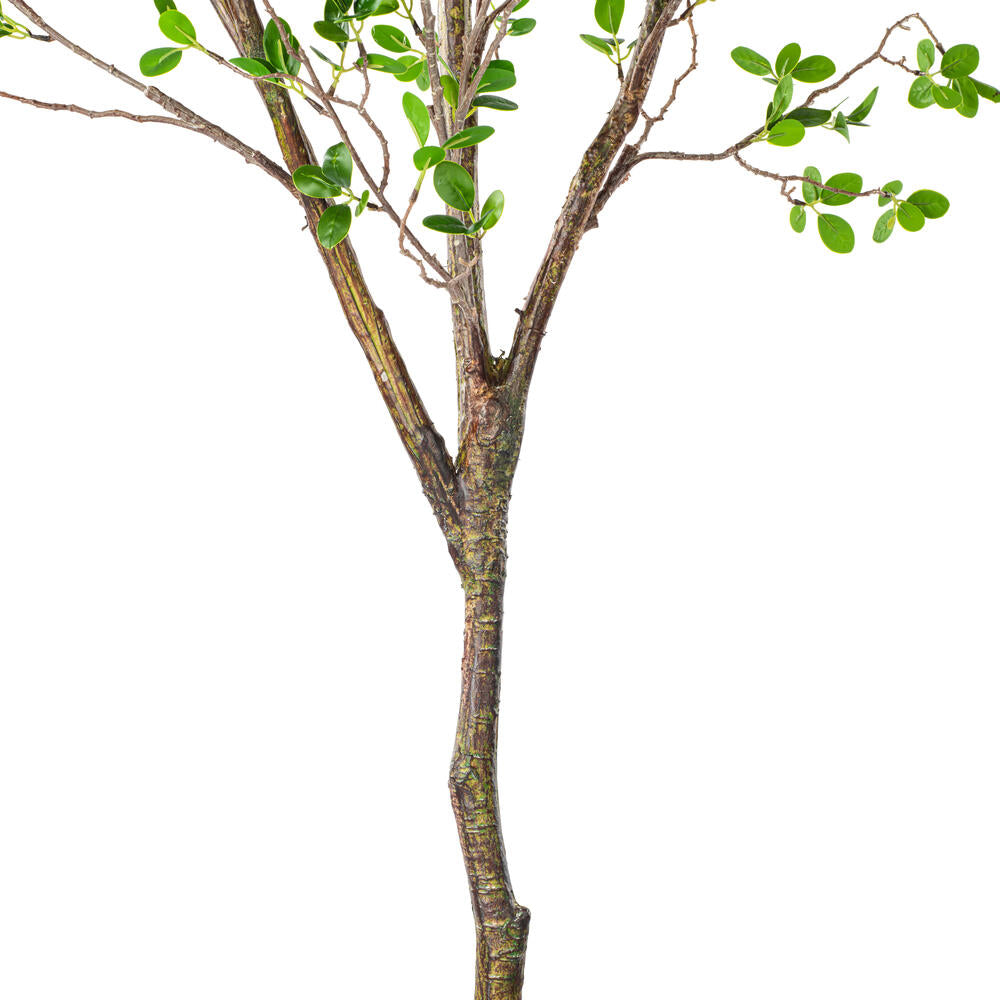 Vickerman 72" Artificial Milan Leaf Tree in Black Planters Pot.