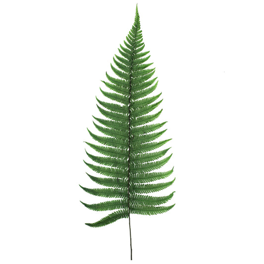 Vickerman 16-18" Fern Green Fern- Parchment 10 stems Preserved