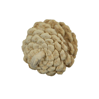 Vickerman Natural Botanicals 1.5" Blue Pine Bleached. Includes 50 Pieces per Unit
