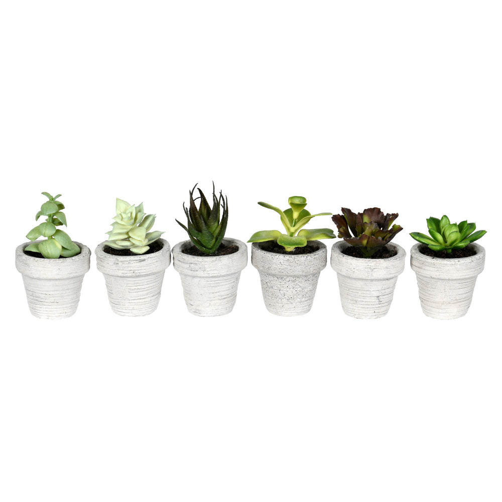 Vickerman 4" Artificial Assorted Potted Succulents Set of 6.