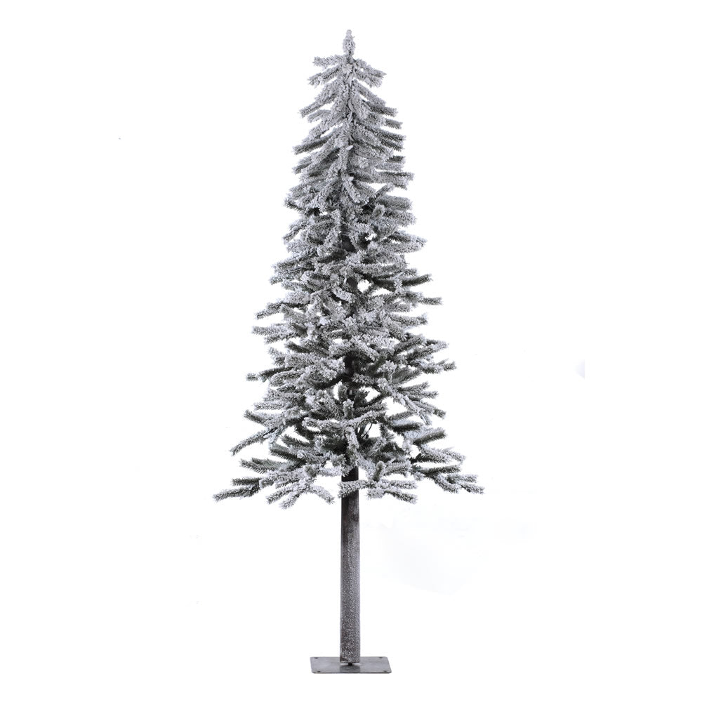 Vickerman 6' x 34" Flocked Alpine Artificial Christmas Tree Unlit