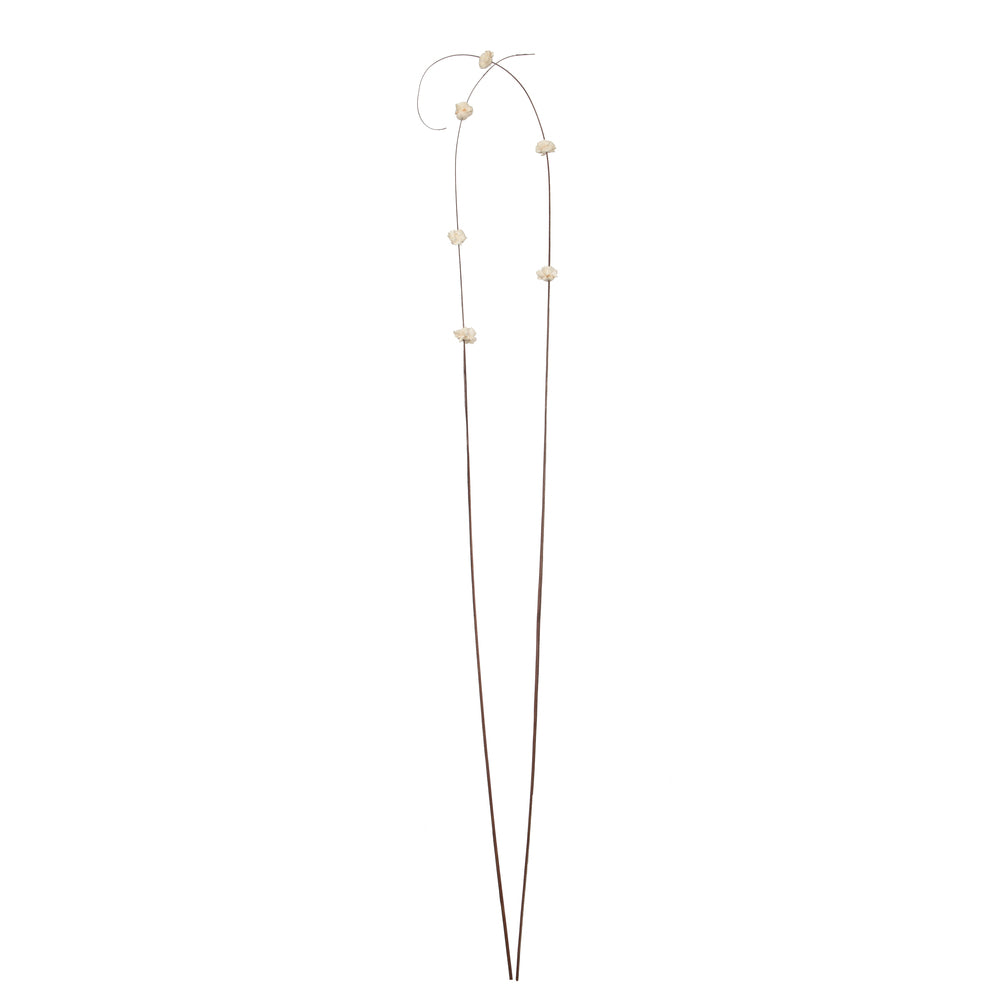 Vickerman Natural Botanicals 40" Brown Coco with Natural Dried Sola Zinnia- 24 sticks/polybag.