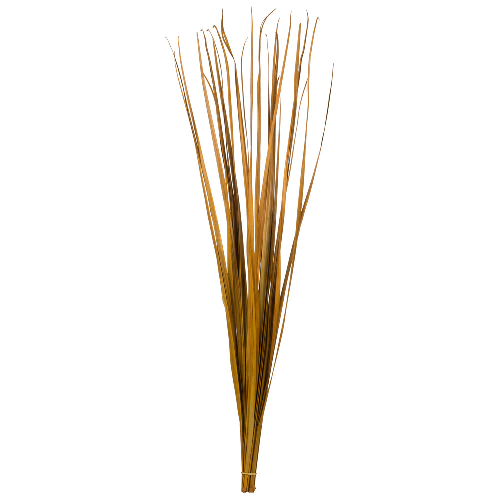 Vickerman 36-40" Aspen Gold Sable Grass 7 oz Bundle Dried