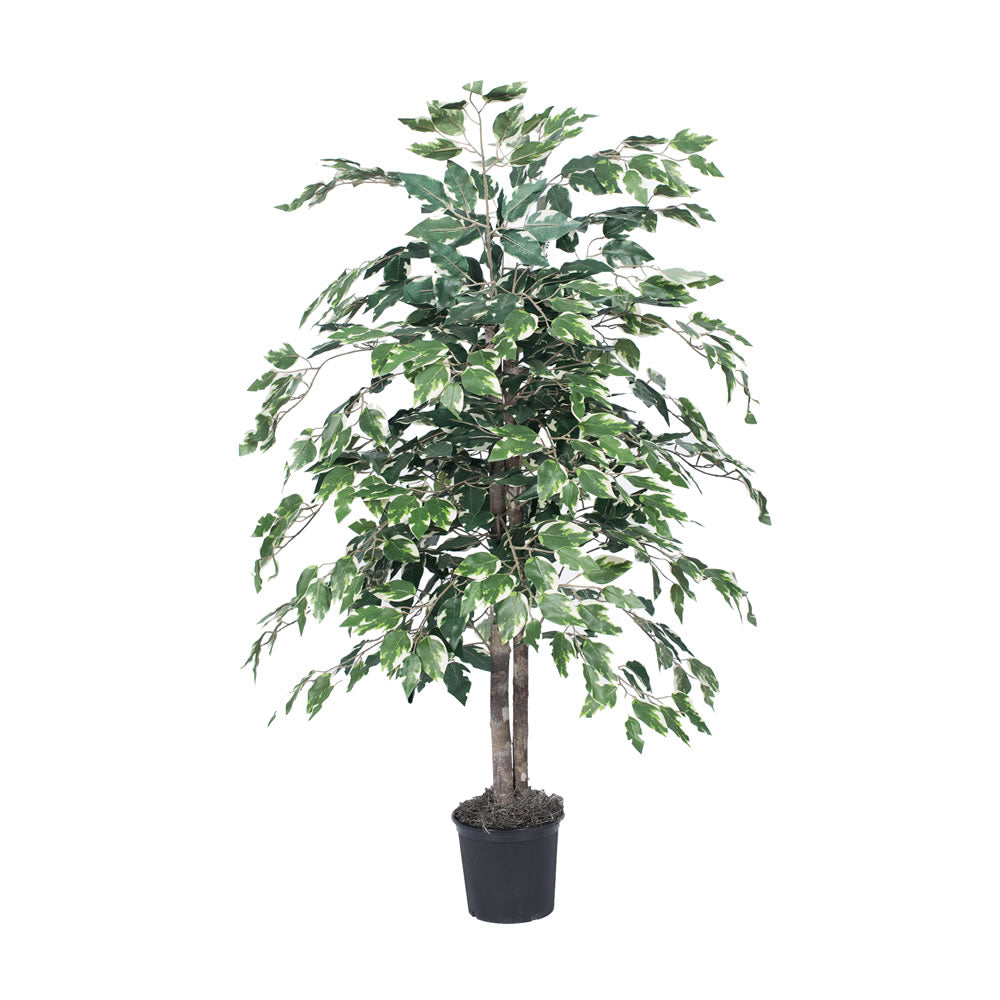 Vickerman 4' Artificial Variegated Ficus Bush Black Plastic Pot.