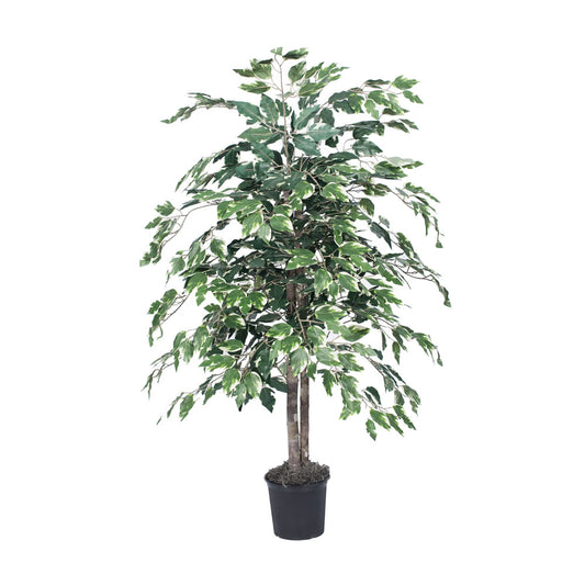 Vickerman 4' Artificial Variegated Ficus Bush Black Plastic Pot.